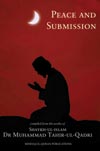 Teachings of Islam Series: Peace and Submission